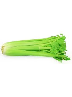 Angolzeller