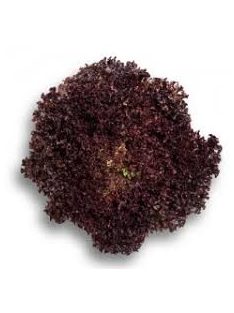 Saláta lolo rosso ( Piros )