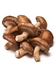Shitake gomba